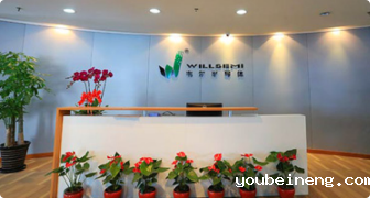 WILLSEMI Semiconductor