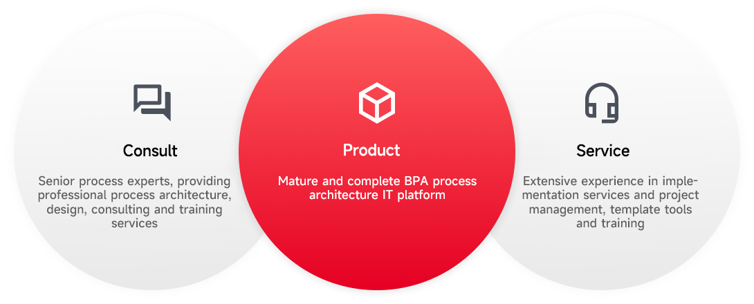 Process consulting + BPA process platform + implementation services
