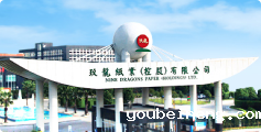 玖龙纸业