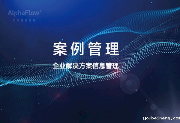 与流程管理结合的案例管理