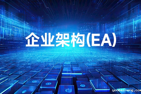 自适应企业架构实践：数据到决策价值链
