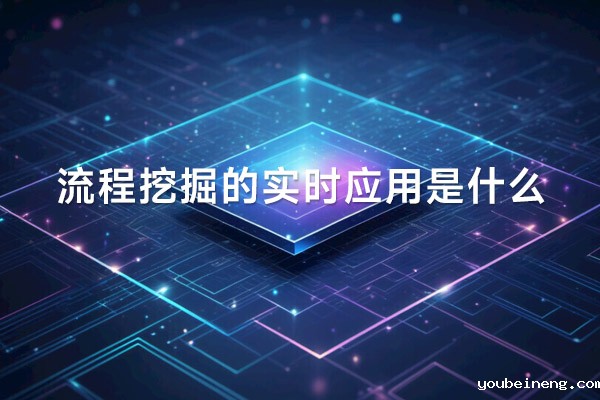 流程挖掘的实时应用是什么？
