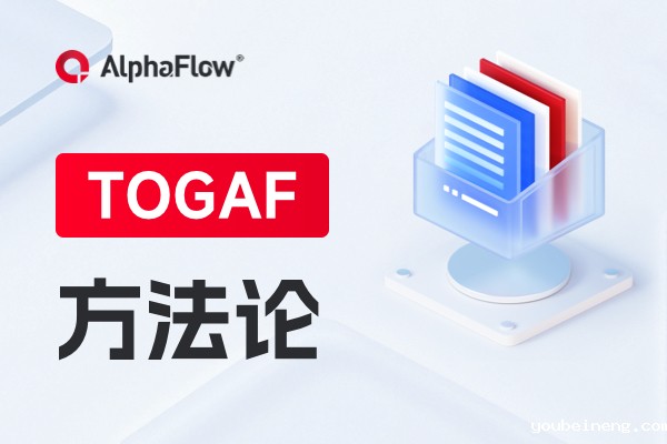 企业架构的目的和TOGAF标准