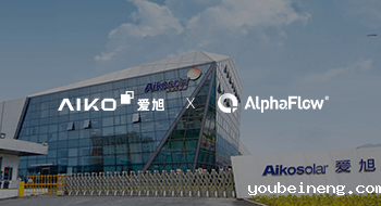 爱旭股份 X 微宏科技 | 集团流程资产全生命周期管理