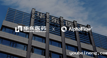 华东医药BPM+ESB平台融合解决方案