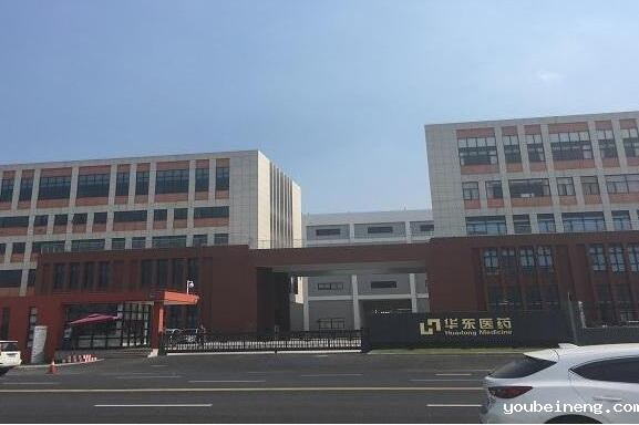 华东医药BPM+ESB平台融合解决方案