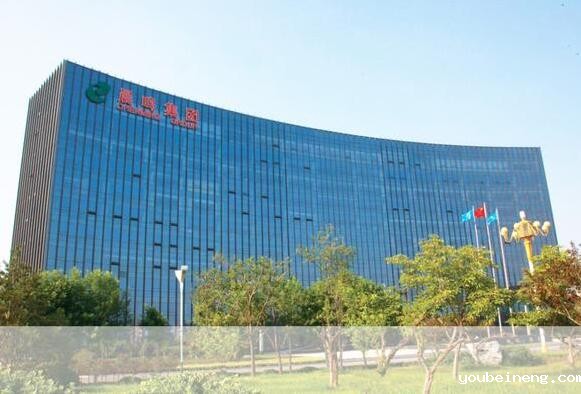 晨鸣集团BPM深度流程应用案例分析