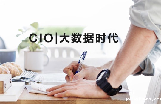 CIO在大数据时代一定要关注业务回报