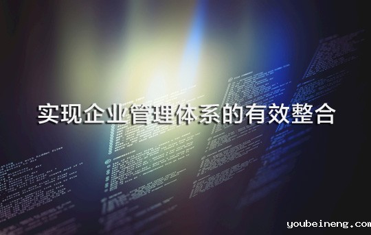 以流程管理为抓手实现企业管理体系的有效整合