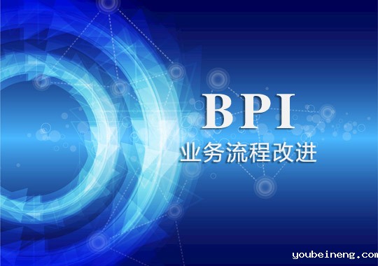 BPI与流程改进分析