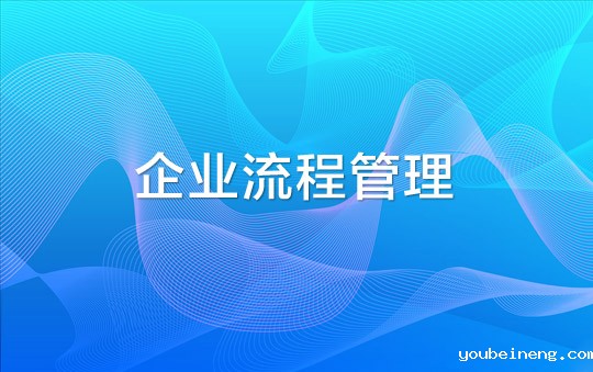 CIO职业轨迹：偏向企业流程管理