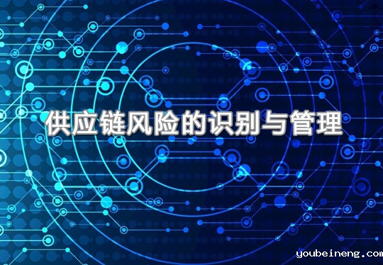 供应链风险的识别与管理