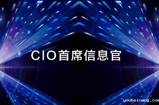 首席信息官为何要领导企业范围内的敏捷转型