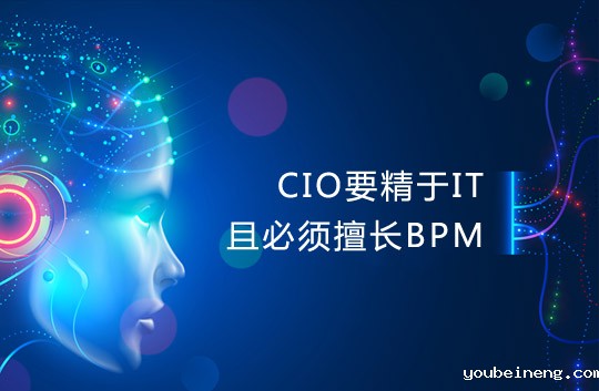 CIO要精于IT而且必须擅长BPM