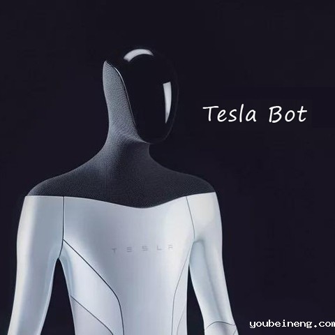 特斯拉机器人Tesla Bot和Alpha Bot