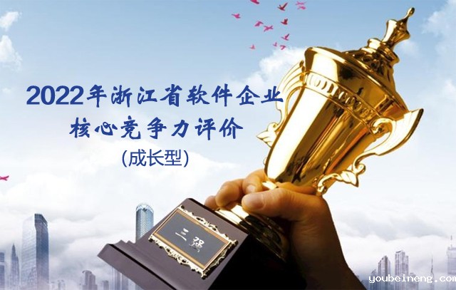 微宏科技荣获“2022年浙江省软件核心竞争力企业（成长型）”奖项