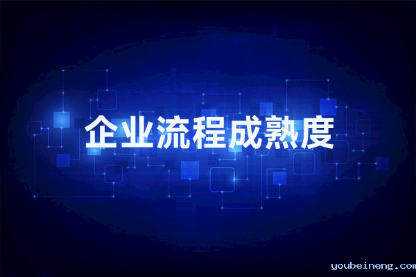 您的企业在流程成熟度中处于什么位置？
