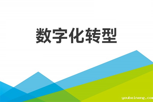 CIO采用BPM做数字化转型的原因