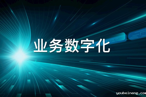企业业务数字化成功的因素