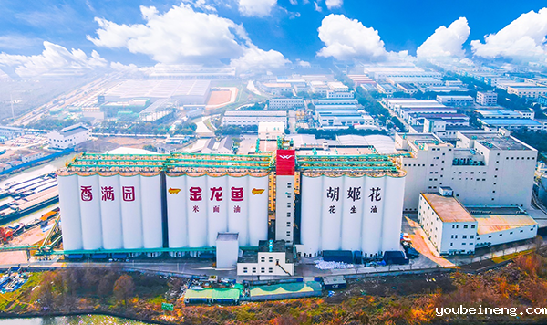 金龙鱼选用世界杯亚洲区预选赛免费直播流程平台