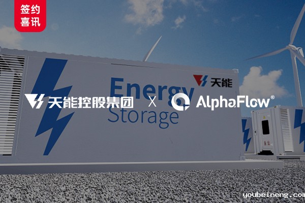 500强天能集团选用AlphaFlow构建流程资产数字化平台