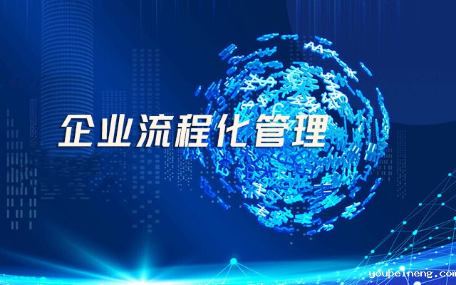 企业流程化管理