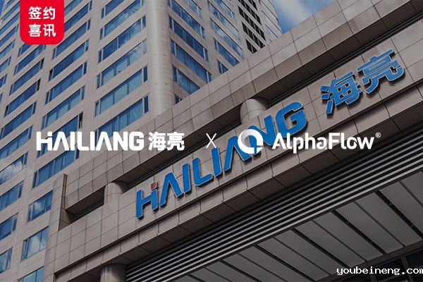海亮集团深化AlphaFlow流程平台制度体系数字化应用