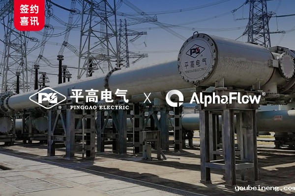 高压开关龙头企业平高电气选用AlphaFlow