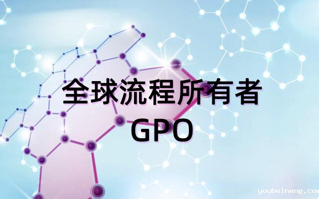 全球流程所有者GPO：推动业务流程卓越