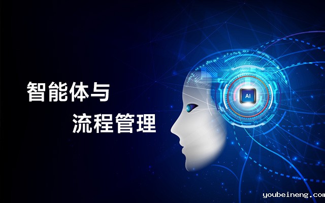 智能体与流程管理
