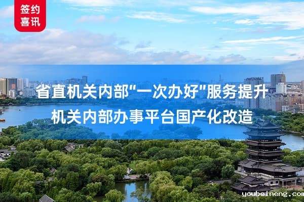 AlphaFlow助力某省级“一次办好”服务提升和信创项目
