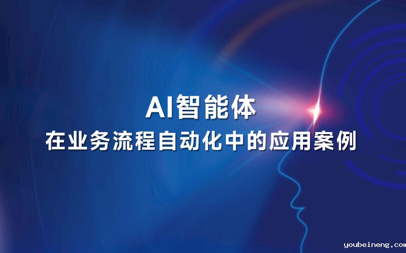 AI智能体在业务流程自动化中的应用案例